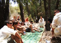 A tour group relaxing in a shaded forest