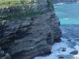 Coast road