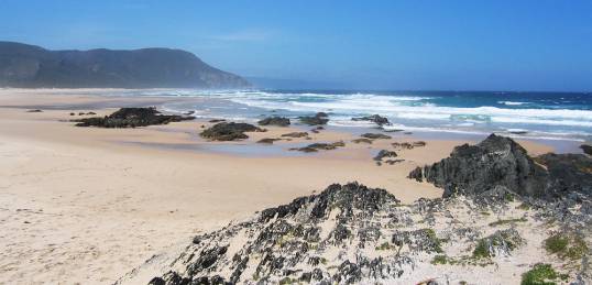 The beautiful coastline at Tsitsikamma