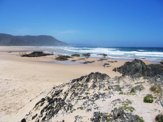 Cape Adventure Garden Route - 5 Days