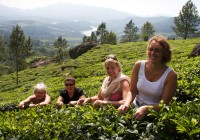 A group of travellers in one of Munnars many verdant tea plantation.