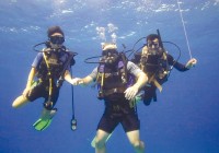 Three divers in the Red Sea
