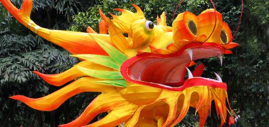 A Chinese dragon to mark the Chinese New Year celebrations