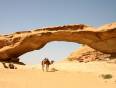 A camel under a rock bridge in Wadi Rum