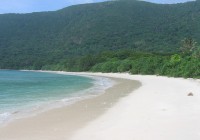 Jungle meets the sea at Con Dao beach in Vietnam