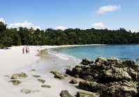 Gorgeous white sandy beach at Manuel Antonio National Park on a Costa Rica tour.