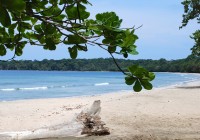 Beautiful sandy beach at Cahuita as seen on a Central America tour