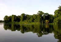The waterways of Turtuguero National Park seen on our Costa Rica tours.