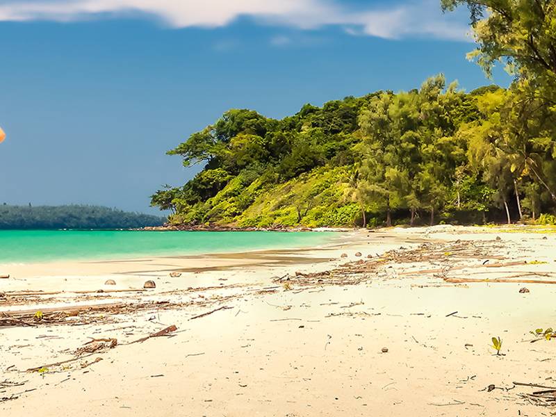 Where to Travel in February 2025 On The Go Tours