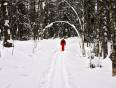A lady cross country skiing near the shores of Lake Baikal