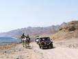 Dahab camels and jeeps