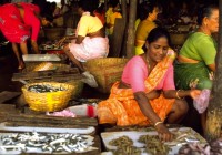 An Indian lady selling her fish at a market