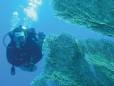 Diving along the reefs of the Lakshadweep Islands.