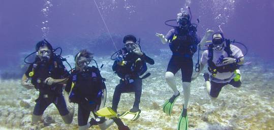A group of divers underwater in the Red Sea