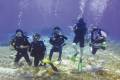A group of divers underwater in the Red Sea