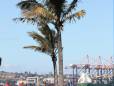 Durban harbour