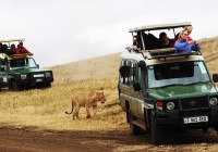 One of the highlights of all our African safaris is getting to the endless plains of the Serengeti