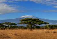 Mount Kilimajaro rising above Amboseli - a sight to behold on our East African Safaris