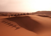 A camel caravan, crossing the Sahara in Morocco