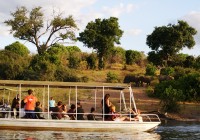 On a Chobe River Cruise elephant watching in Chobe National Park on an On The Go African Safari