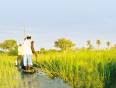 A mokoro along the waterways of the Okavango Delta in Botswana