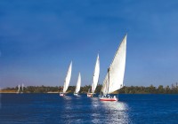 Feluccas sailing on the River Nile