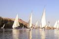 Traditional Egyptian Feluccas, sailing on the River Nile