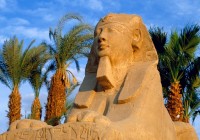 A Sphinx in Luxor