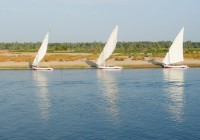 Felucca boats on the River Nile