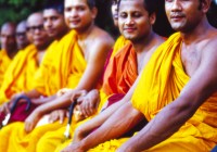 Buddhist monks in their yellow robes in Sri Lanka - a popular site on our Sri Lanka tours.