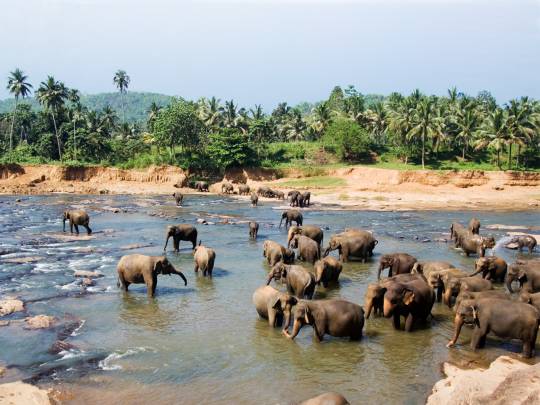 Go Sri Lanka - 9 Days