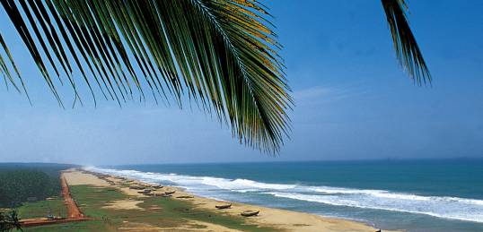 A beach in Goa