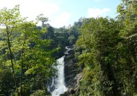 Luscious rainforest and waterfalls, just some of the things Athiripally has to offer