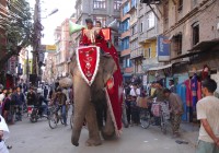 Men on an elephant parading through a street in Kathmandu