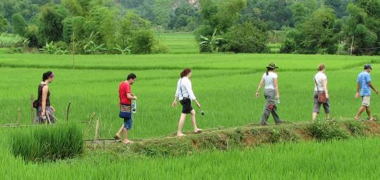Hiking the Rice Paddies of Mai Chau Vietnam