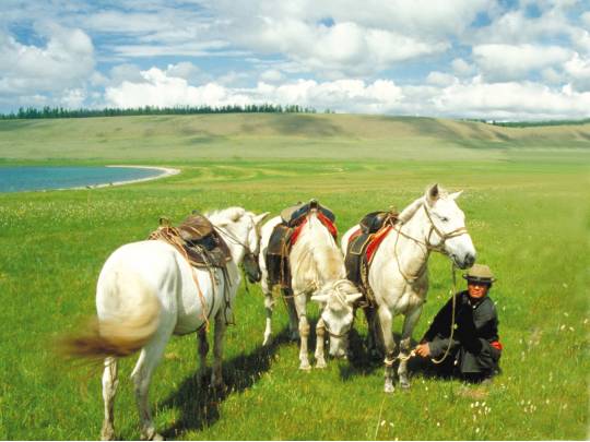 Horseback Journey - 9 Days