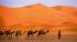 Camel caravan moving through the Sahara Desert