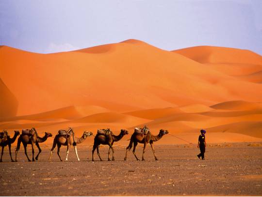 Imperial Cities & Deserts - 10 Days