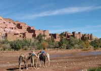 Camels in front of Ait Benhaddou - the ancient Kasbah