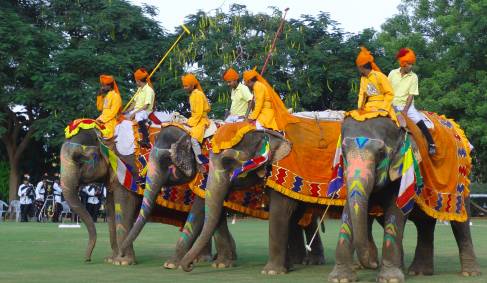 India-Elephant-Festival x2-Image