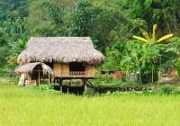 A typical rural Vietnam scene on one of our many Vietnam Tours.