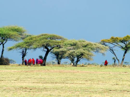 Go Ngorongoro Go - 9 Days