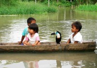Three young Peruvian children in a dug out canoe with a toucan, in the Amazon