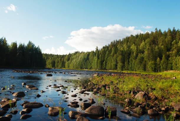 Lake Onega | Karelia | Russia