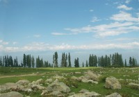 The beautiful Kashmir Valley