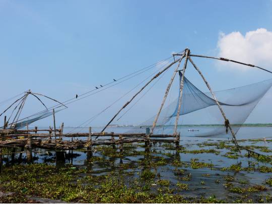 Kerala Homestay - 8 Days