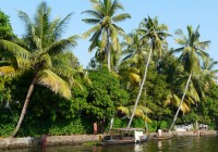 Everyday life on the banks of Keralas lush Backwaters