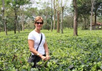 Kerry, from the Tea Centre, at one of the tea plantations of Darjeeling