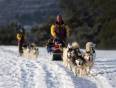 Khaski dog sledding in Yekaterinburg