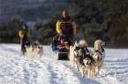 Khaski dog sledding in Yekaterinburg